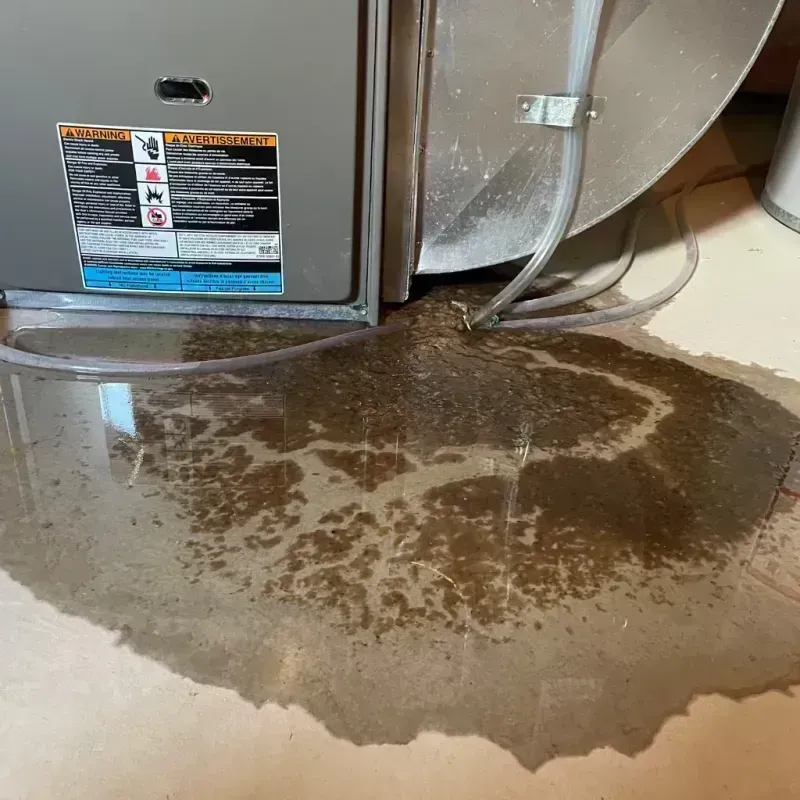 Appliance Leak Cleanup in Elk Plain, WA